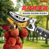 DELIXI ELECTRIC fruit picking artifact, lychee picking, longan pruning shears, telescopic high-branch shears, high-altitude fruit picking, high-altitude fruit picking, upgraded model, 2-stage telescopic 1.8-3 meters + 3-piece set