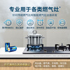 Fenglan No. 1 Little Yellow Hat Gas Stove Battery Large No. 1 Battery 2 Pack Suitable for Water Heater/Gas Stove/Water Heater/Radio/Flashlight, etc. R20P