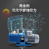 Pupan bipolar direct-coupled rotary vane vacuum pump air conditioner refrigerator laboratory small industrial air pump 2XZ-2 pumping speed 2L/S