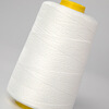 Baopinfang portable packing thread, sewing thread and packing thread (100 rolls), sewing machine sealing thread, sewing thread, sealing machine packing thread, white 6 strands