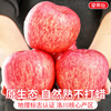 Jingdida Apple Fruit Luochuan Apple Red Fuji Fresh New Year Fruit Net Weight 8.5 Jin Single Fruit 85mm + Free Shipping from Source