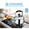 SUPOR kettle gas 304 stainless steel gas induction cooker hot water kettle whistle large capacity SS50Q1- 5L