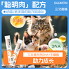 Pet Youwei Cat Snacks Chicken Fish Meat Multi-Vitamin Nutrition Hair Beauty Adult and Young Cat Interaction 0 Food Attractants and Preservatives Multi-dimensional Fish Oil Hair Beauty Cat Strips 15g*50 Count