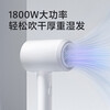 Feike Bo Rui hair dryer household high-power hair dryer student dormitory portable high wind low noise three-speed temperature 360 air nozzle hair dryer New Year gift for girlfriend heartfelt confession gift bag PH1629 hair dryer