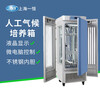 Shanghai Yihengong climate incubator MGC-300H laboratory constant temperature and humidity chamber light and low temperature test chamber MGC-300H