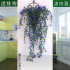 Time Bird Simulation Wall Plant Vine Rose Chlorophytum Plastic Decoration Wall Hanging Rattan Living Room Indoor Hanging Basket Fake Flower 1 Hanging Blue 2 Bundle Buds Rose Vine Pink + Sticky Hanging