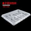 Chaosihui Wonton Dumpling Box Special Compartment Refrigerator Storage Box Dumpling Box Disposable Takeaway Commercial 20-Gate Green and White Dumpling Box with Cover 50 Sets