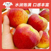 Jingxiansheng Yunnan Zhaotong Red General Apple, net weight 5 pounds, single fruit 80mm + fresh fruit, direct delivery from the source, free shipping