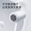 Feike Bo Rui hair dryer household high-power hair dryer student dormitory portable high wind low noise three-speed temperature 360 air nozzle hair dryer New Year gift for girlfriend heartfelt confession gift bag PH1629 hair dryer