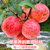 Jingdida Apple Fruit Luochuan Apple Red Fuji Fresh New Year Fruit Net Weight 8.5 Jin Single Fruit 85mm + Free Shipping from Source