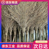 Broom big broom sanitation factory workshop street household bamboo broom to sweep the yard road outdoor courtyard 2.5 meters thickening style 5