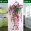 Time Bird Simulation Wall Plant Vine Rose Chlorophytum Plastic Decoration Wall Hanging Rattan Living Room Indoor Hanging Basket Fake Flower 1 Hanging Blue 2 Bundle Buds Rose Vine Pink + Sticky Hanging