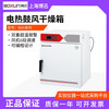 Boxun Shanghai BXH-65/130/210/450 electric blast drying oven laboratory programmable drying oven BXH-65
