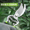 Deli pruning fruit tree pruning scissors garden pruning branches garden labor-saving flower pruning scissors household tools scissors artifact 8-inch labor-saving model high carbon steel pruning shears