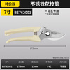 Persian pruning shears, gardening scissors, special scissors for cutting branches, garden pruning, fruit tree pruning, flower pruning scissors, plastic handle scissors (do not cut branches)