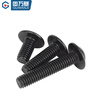 Guwanji black 304 stainless steel semi-round head hexagonal padded screw pan head bolt machine screw M3M4M5M6M8M10 M5x12 50 pieces