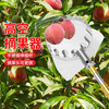 Yanran fruit picking artifact telescopic pole high branch shears fruit longan lotus peach lychee hook mango high-altitude picking net bag net bag head picking 1