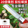 JCZS German quality foldable grafting special knife fruit tree film tool large tree grafting tree frame grafting manual knife + 3cm grafting straight grafting knife