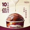 Haagen-Dazs Belgian chocolate flavored vat ice cream 473ml family size