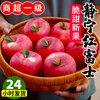 SF Gansu Tianshui Jingning apple 9 pounds freshly picked crisp sweet red Fuji unwaxed fresh fruit rock candy heart L5 9 pounds medium fruit SF freshly picked/crisp sweet and juicy