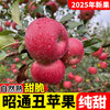 25-year-old Yunnan Zhaotong Ugly Apple Rock Candy Heart Authentic Gift Box Fresh Apple Fruit Seasonal Whole Box Flat Fruit 1 catties Small Fruit (60-70mm)