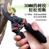 Fengxi Japan thickened SK5 steel branch scissors to cut thick branches garden scissors pruning fruit trees pruning mulberry pruning shears pruning shears