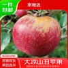 Jingdida Sichuan Daliangshan Ugly Apple 4.5kg single fruit 75mm+ fresh fruit direct from source with free shipping
