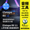IZotope RX11 RX10 vocal accompaniment separation and noise reduction software audio repair plug-in Win Chinese/Mac network disk without express delivery
