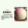 Jingyuan Shaanxi Red Fuji Apple, Crisp, Sweet and Ugly Apple, Seasonal Flat Fruit, Fresh Rock Candy Heart Apple, Fresh Fruit, Preferred 5kg Pack (Net Weight 4.5kg)