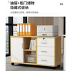 Olin European style file cabinet office under desk storage cabinet low cabinet with lock file cabinet simple office cabinet small cabinet