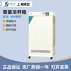 JINGHONG Shanghai Jinghong/MJP-150 biochemical mold incubator programmable humidity control UV SHP-450