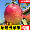 25-year-old Yunnan Zhaotong Ugly Apple Rock Candy Heart Authentic Gift Box Fresh Apple Fruit Seasonal Whole Box Flat Fruit 1 catties Small Fruit (60-70mm)