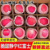 SF Gansu Tianshui Jingning apple 9 pounds freshly picked crisp sweet red Fuji unwaxed fresh fruit rock candy heart L5 9 pounds medium fruit SF freshly picked/crisp sweet and juicy