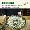 Zhang Yiyuan Jasmine Tea Snow Bud New Year Tea Strong Fragrance Old Beijing Specialty Souvenir Gift Special 100g Can