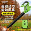 TOMSPOWER Rechargeable Industrial Hair Dryer for Fall Leaf Cleaning Electric Storm Thomas Wireless Blower Snow and Dust Remover Professional 3500W +20A (3.5 hours)
