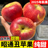 25-year-old Yunnan Zhaotong Ugly Apple Rock Candy Heart Authentic Gift Box Fresh Apple Fruit Seasonal Whole Box Flat Fruit 1 catties Small Fruit (60-70mm)