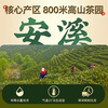 Lepinle Tea Authentic Anxi Tieguanyin Special Grade Oolong Tea New Tea Fragrance Tea Bulk Total 252g
