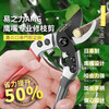 MIEHONE Japanese craft scissors, pruning shears, gardening scissors sk5 special scissors for pruning flowers and branches, fruit tree thick branch scissors, Japanese original SK5 steel, free gloves and maintenance oil