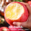 Crisp and sweet red Fuji apples, Shandong Yantai Qixia ugly apples, fresh fruit, whole box, 5 catties in box, sweet and medium-sized fruit