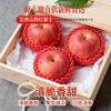 Authentic Shanxi Red Fuji Apple Fruit Crispy Sweet Ugly Apple Fresh Fruit Whole Box Gift Box 8.5 Jin 75mm
