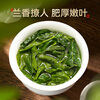 Lepinle Tea Authentic Anxi Tieguanyin Special Grade Oolong Tea New Tea Fragrance Tea Bulk Total 252g