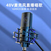 Meisheng P2 48V condenser microphone equipment professional live broadcast shouting and singing recording microphone