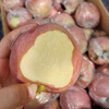 Jingxiansheng Lingbao Fuji Apple, net weight 4.5kg, single fruit 80mm+, fresh fruit, straight from the source