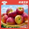 Jingxiansheng Yunnan Zhaotong Red General Apple, net weight 5 pounds, single fruit 80mm + fresh fruit, direct delivery from the source, free shipping