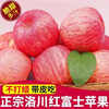 Jingmi Luochuan Red Fuji Apple 4.5kg, single fruit 235g+, seasonal fresh fruit, crispy and sweet, straight from the source