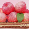 West Shaanxi Yan'an Luochuan Red Fuji 10 catties packed apple fresh fruit crisp sweet seasonal fruit seasonal fresh fruit with box 5 catties large fruit