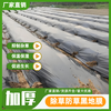Agricultural black mulch film, black weed removal film, vegetable planting, fruit tree greenhouse, orchard insulation film, plastic film thickened, 5 pounds black, 1 meter wide, 200 meters long