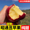 2025 Authentic Yunnan Zhaotong Rock Candy Apple Fresh Fruit Apple Seasonal Crisp Sweet Fruit Origin Straight Hair 9 Jin Pack Medium Fruit (70-80mm)