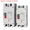 Shanghai People's DC air switch molded case circuit breaker 2P125A200A250ADC500V 2P 100A