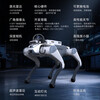 Miss Dolphin Cloud Deep Technology Lite3 Education and Research Intelligent Quadruped Robot Scenic Area Guide Machine Electronic Dog Mechanical Dog Electronic Pet Dog Automatically Follows Remote Control Robot Dog Laser Version